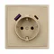Минифото #3 товара Механизм розетки с USB зарядкой SCT-NOBE-MUAC-SFPL-GD (230V, 16A) (Arlight, Золотой песок)