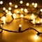 Минифото #1 товара Светодиодная гирлянда ARD-STRING-CLASSIC-10000-BLACK-100LED-MILK-STD Warm (230V, 7W) (Ardecoled, IP65)