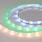 Минифото #1 товара Светодиодная лента RTW-SE-B60-10mm 24V RGBW-Warm (14.4 W/m, IP65, 5m) (Arlight, Открытый)